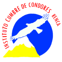 Instituto Cumbres De Condores Poniente