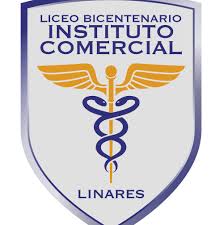 Instituto Comercial