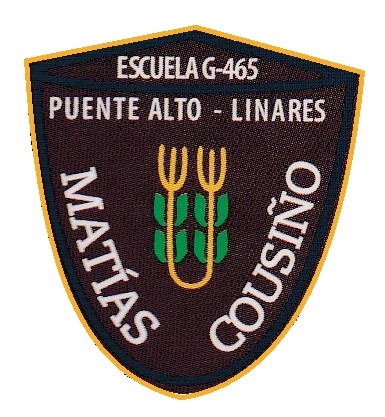 Escuela Matias Cousino
