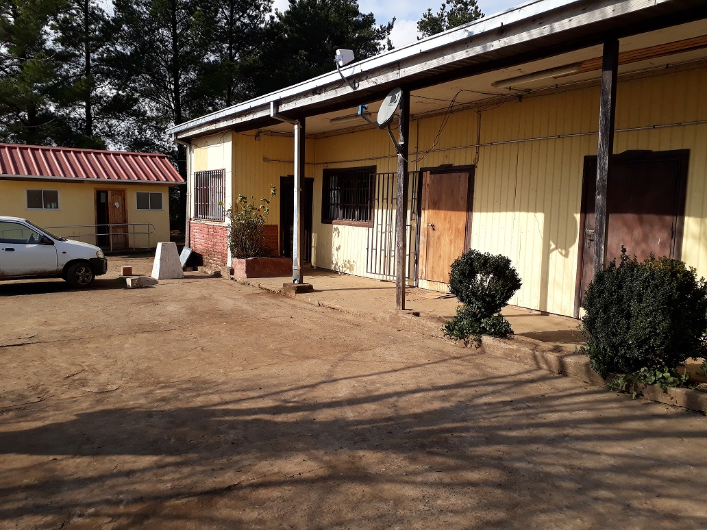 Escuela La Fortuna