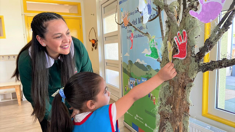 Jardin Infantil Rayen Del Malleco