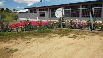 Escuela La Patagua