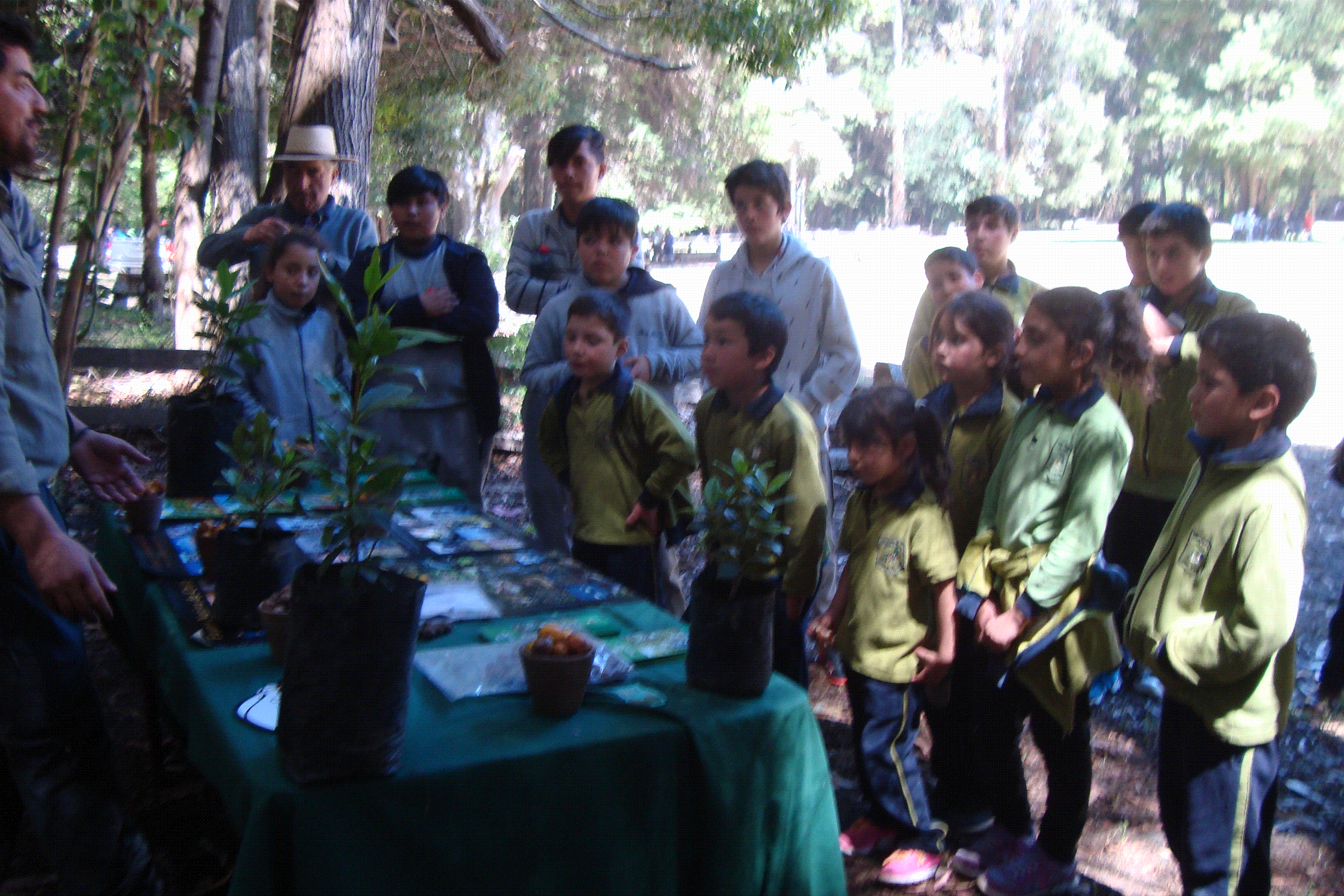 Escuela San Alfonso Canelillo