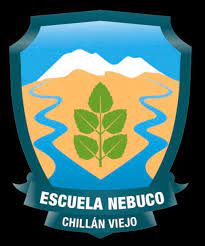Escuela Basica Nebuco