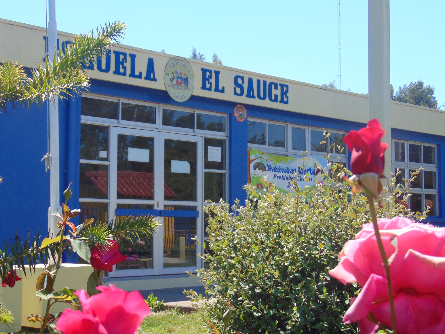 Escuela El Sauce