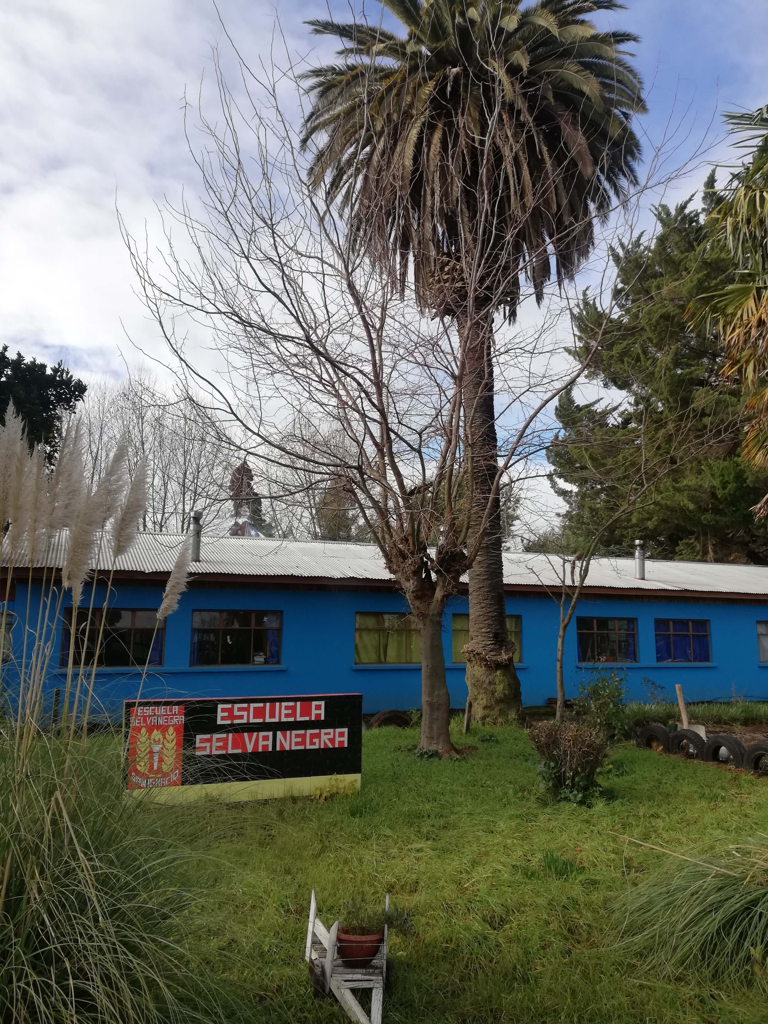 Escuela Selva Negra