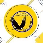 Colegio Montessori Millantú