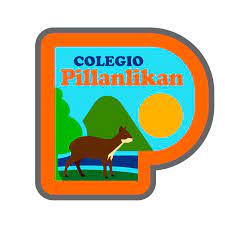 Colegio Pillanlikan