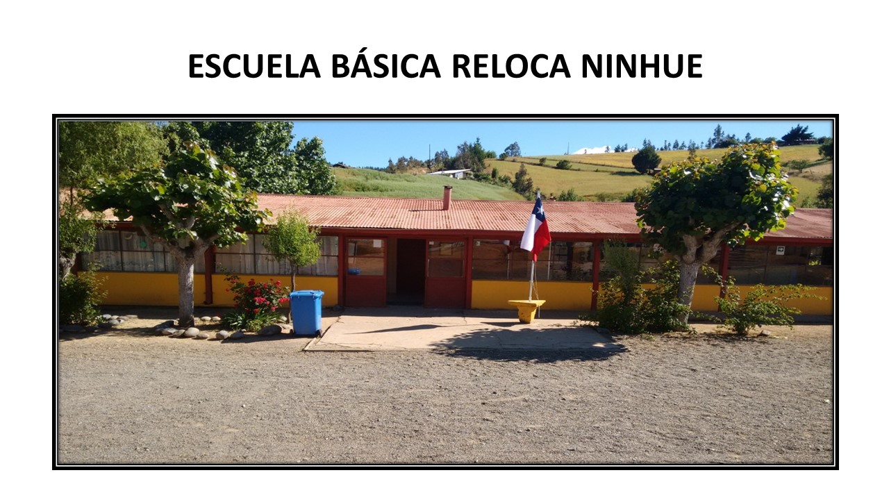 Escuela Basica De Reloca