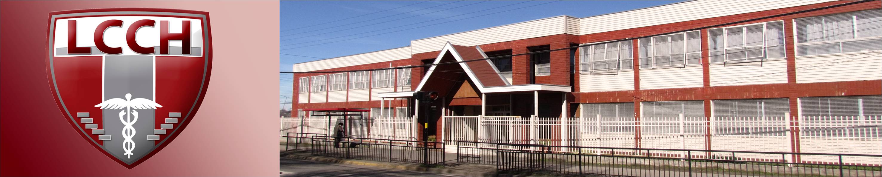 Liceo Comercial Camilo Henriquez