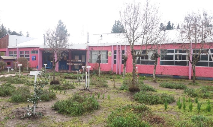 Escuela Puente Perales