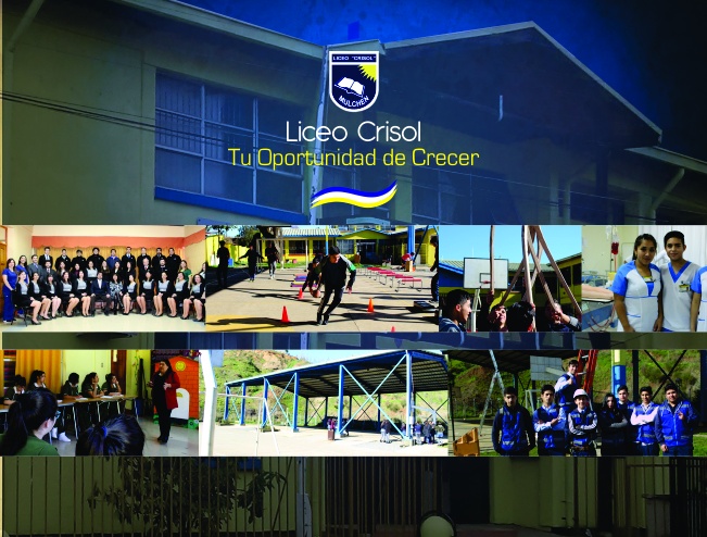 Liceo Crisol