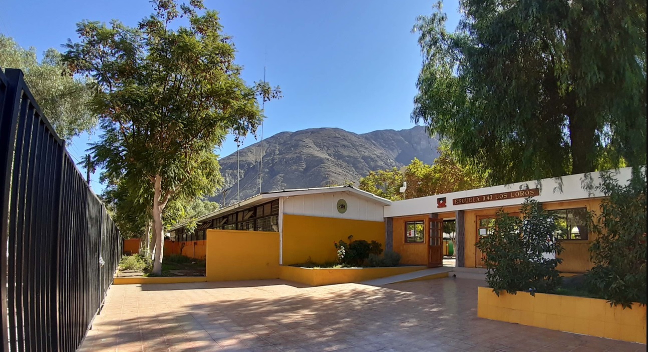 Escuela De Concentración