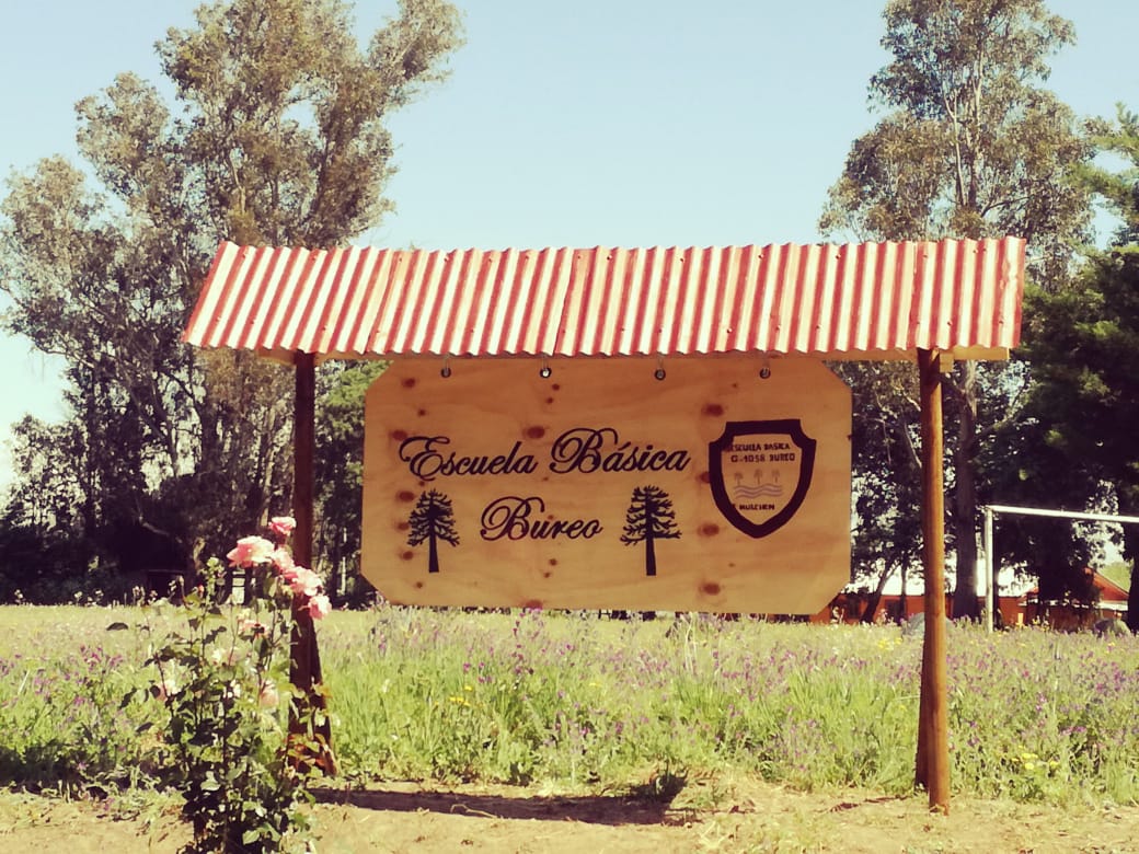 Escuela Basica Bureo