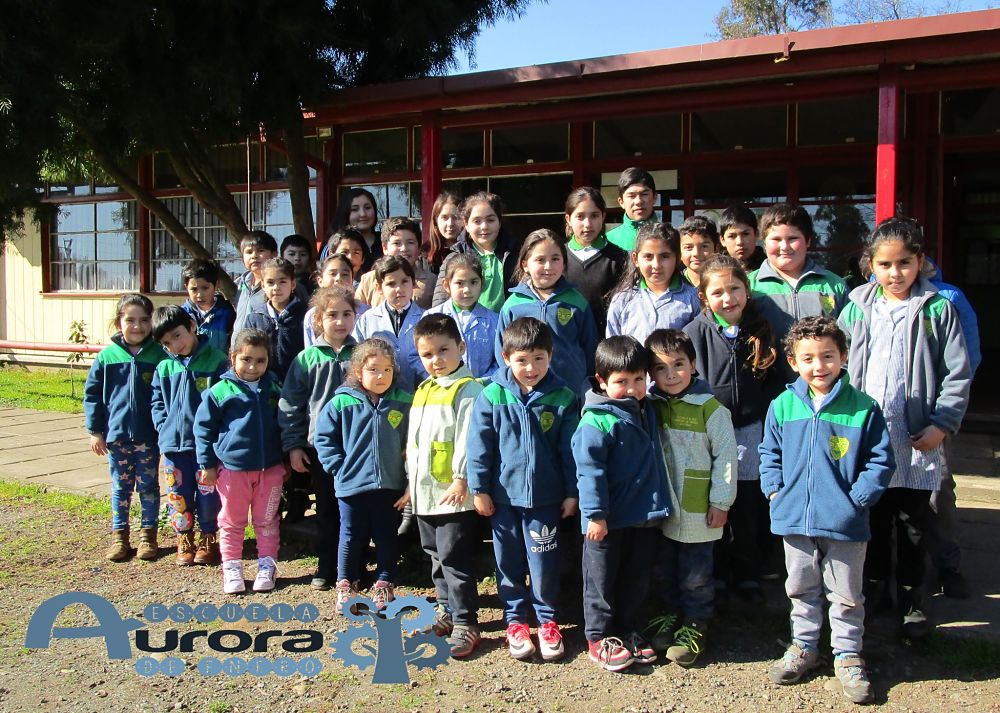 Escuela Basica Aurora De Enero