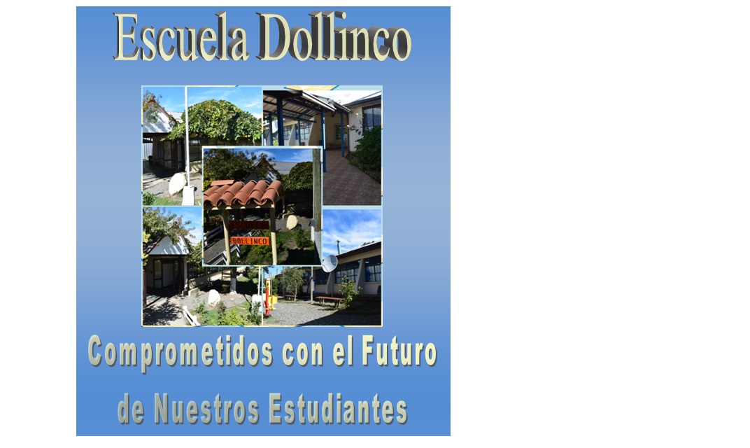 Escuela Basica Dollinco