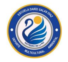 Escuela Dario Salas Marchant