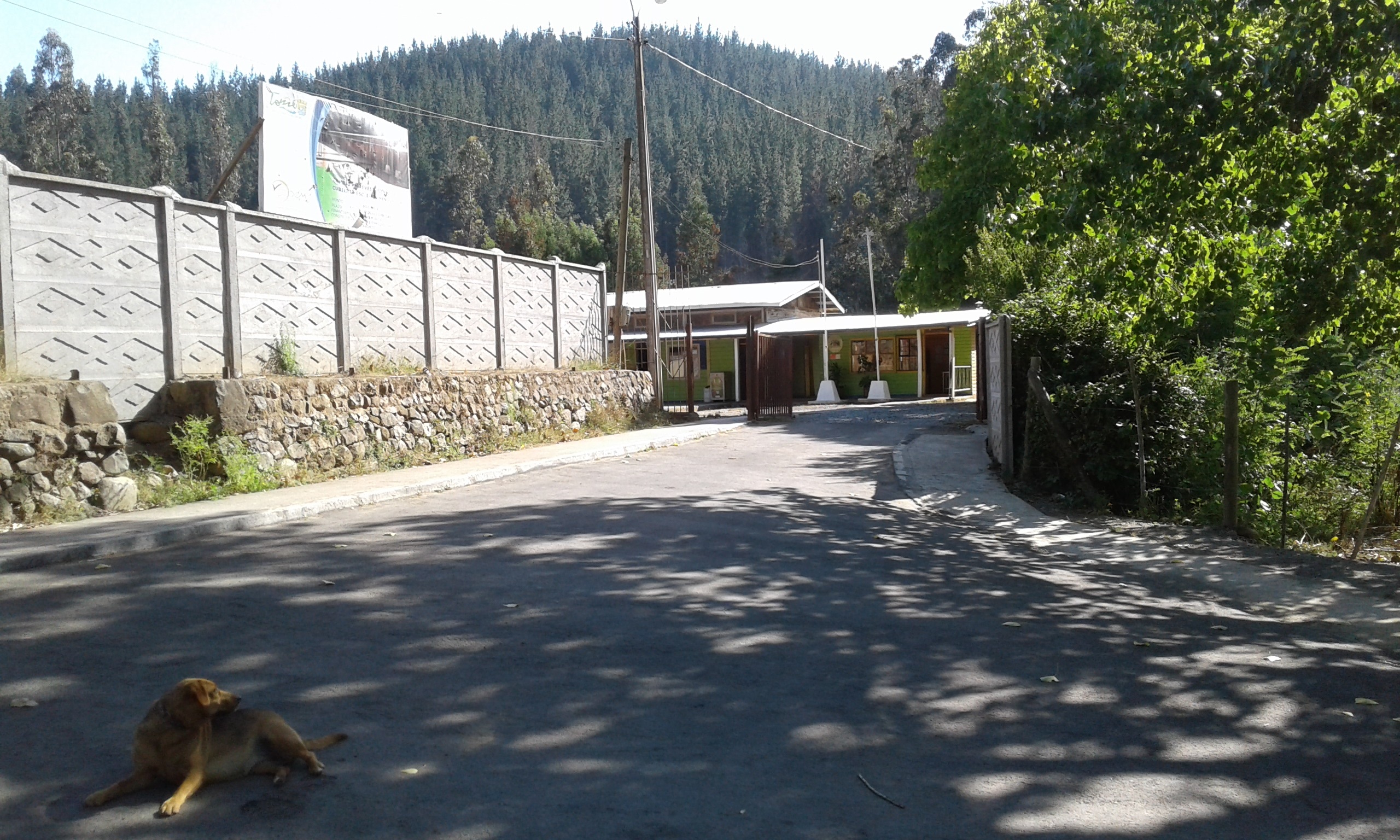 Escuela Basica Menque