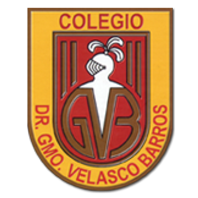 Colegio Doctor Guillermo Velasco Barros