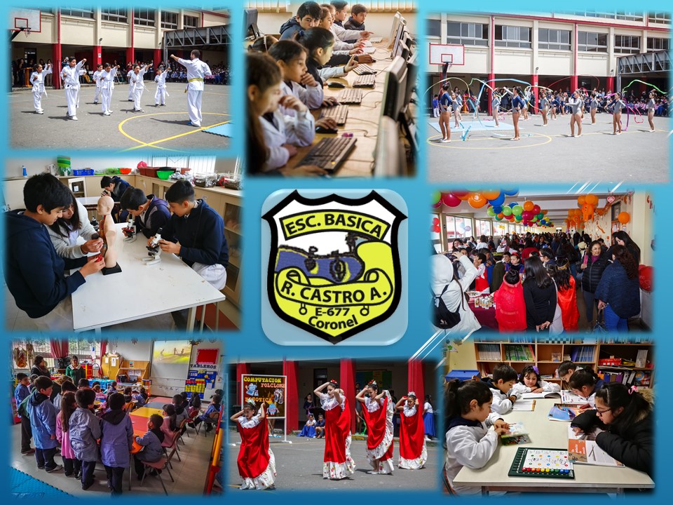 Escuela Remigio Castro Aburto