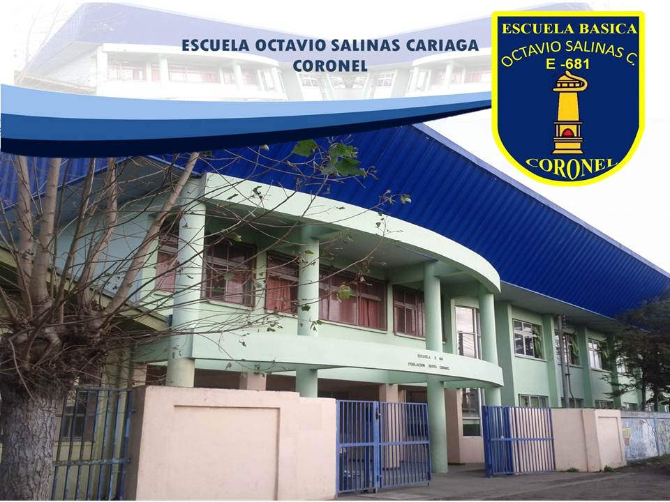 Escuela Octavio Salinas Cariaga