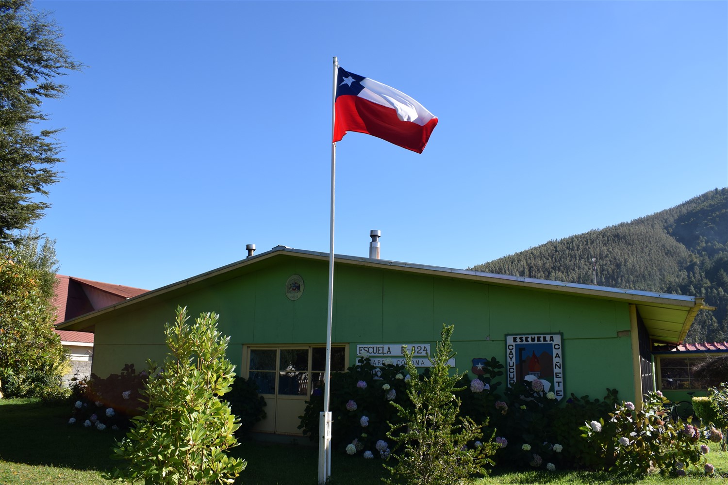 Escuela Ricardo Coloma Diaz