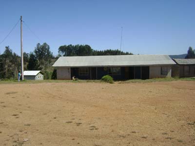 Escuela Grano De Trigo