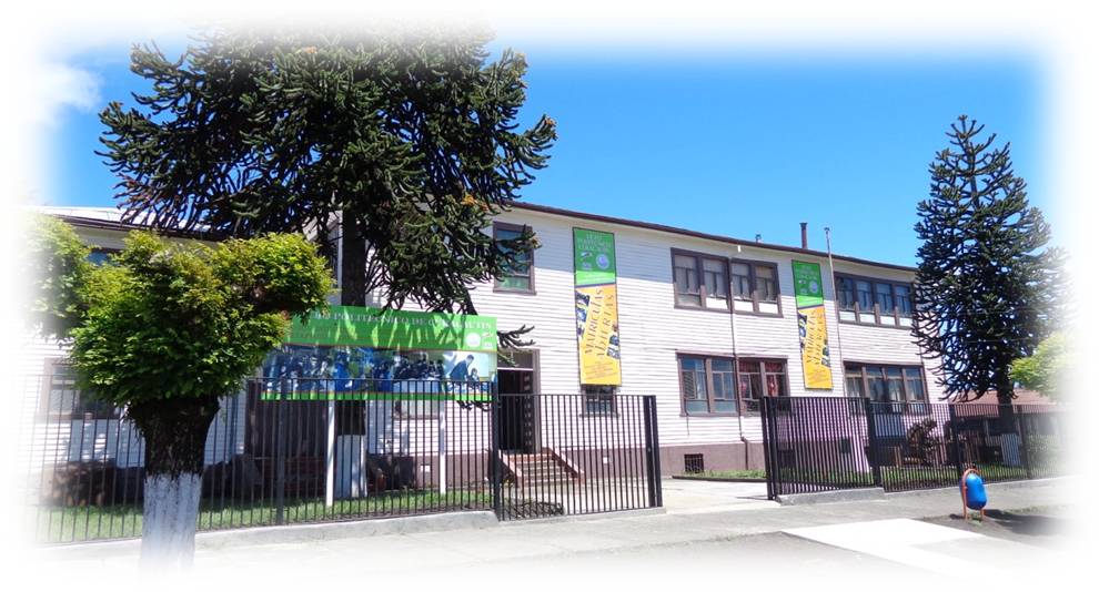 Liceo Politecnico C-12 Curacautin