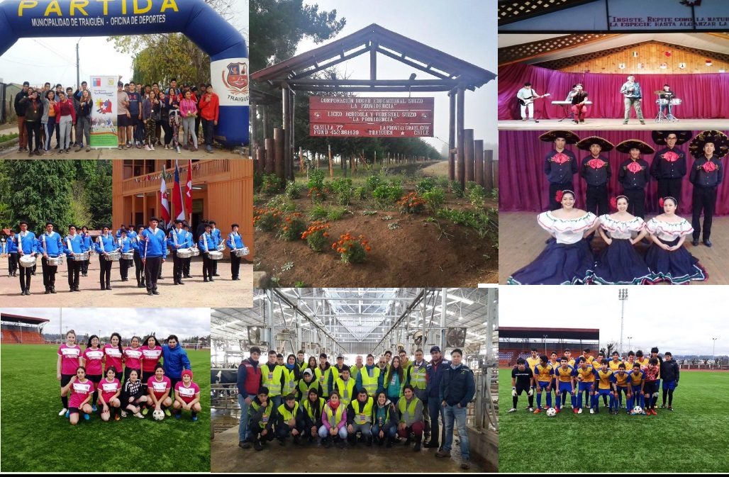 Liceo Agricola Y Forestal Suizo La Provi