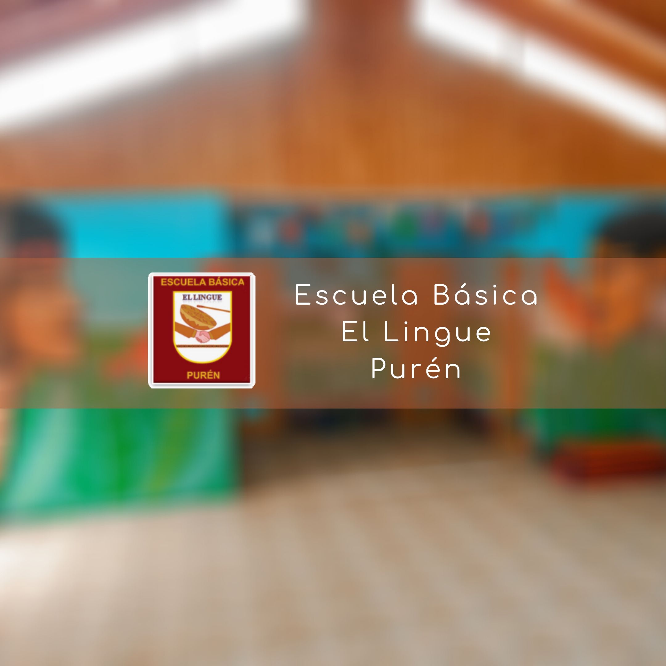 Esc. Basica El Lingue