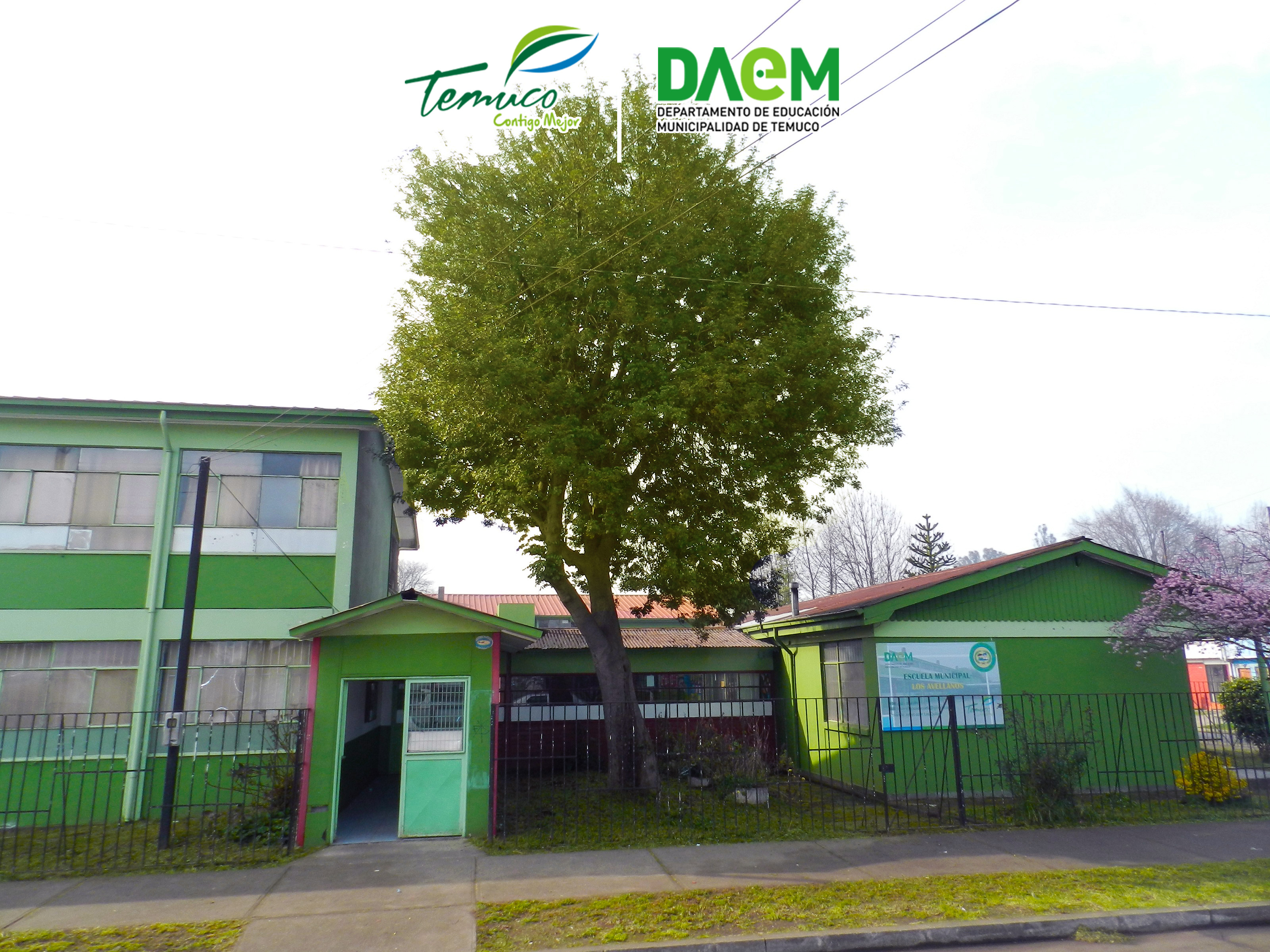 Escuela Los Avellanos