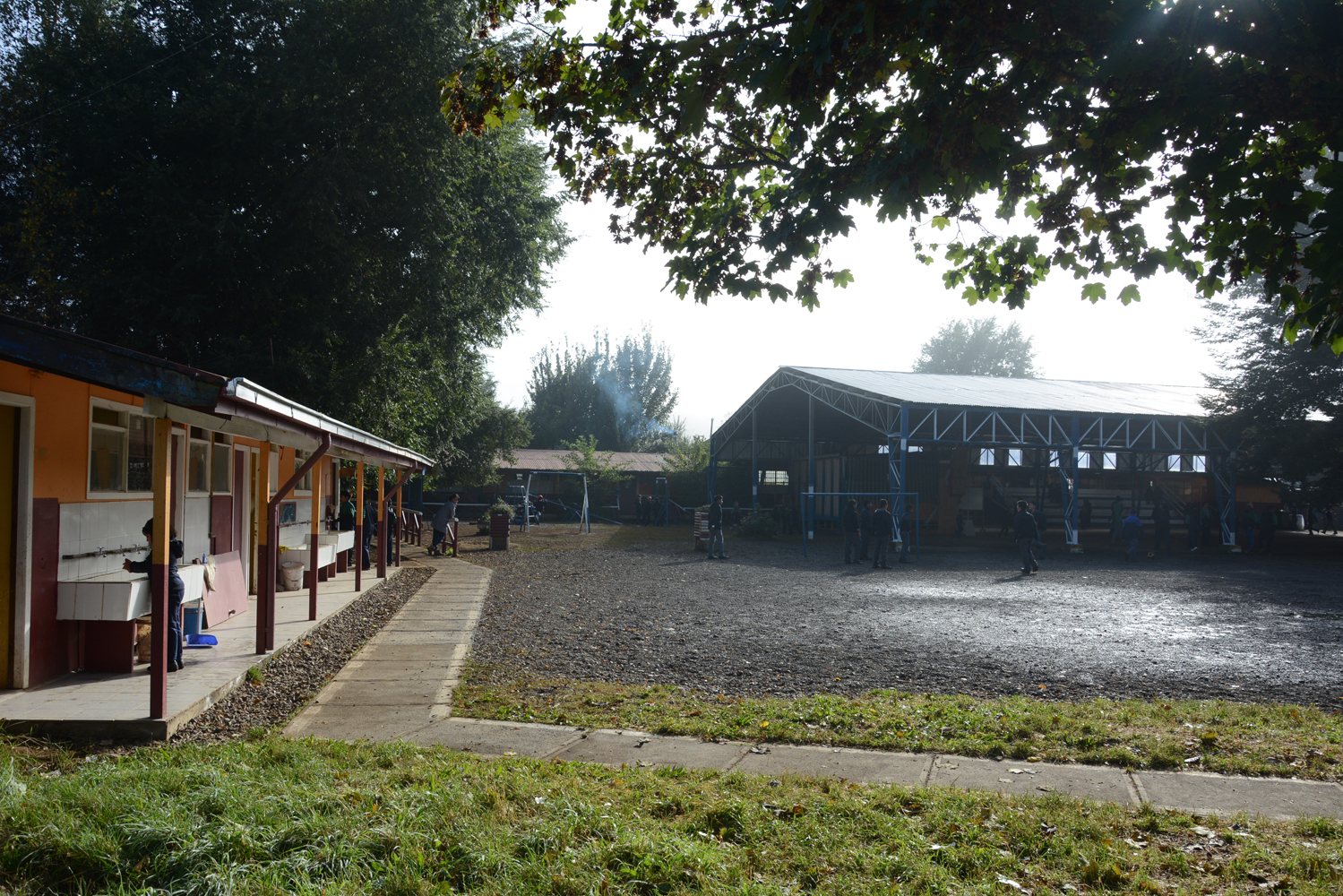 Escuela Particular Roble Huacho