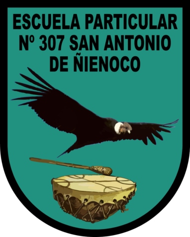Escuela San Antonio De Nienoco