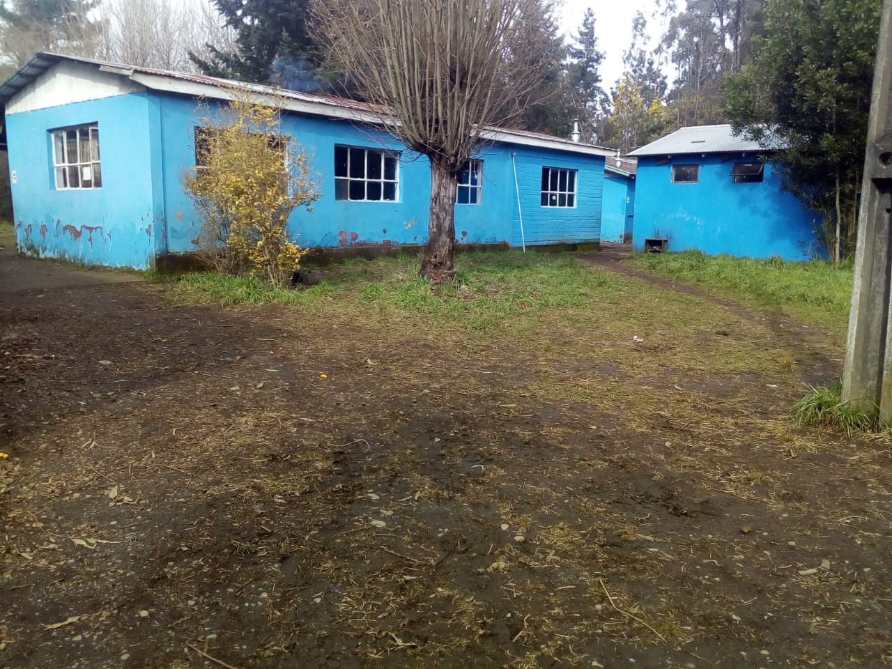 Escuela Particular La Roca