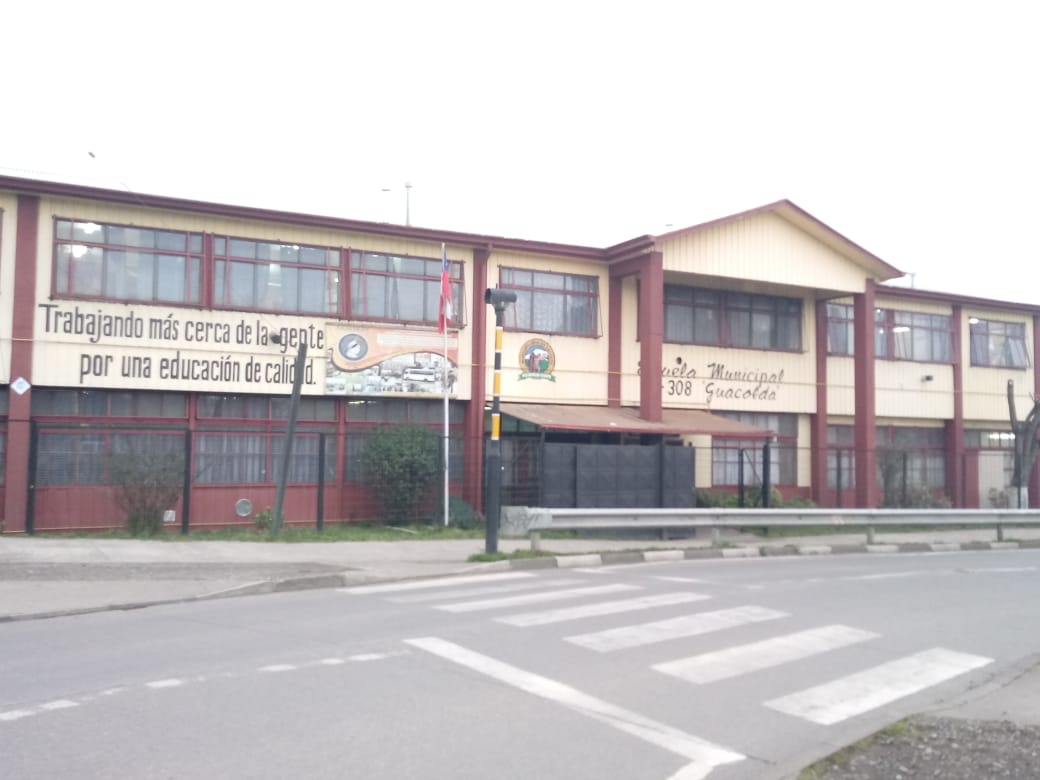 Esc. Basica Guacolda