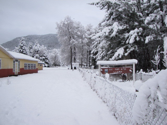 Escuela Particular Llaima
