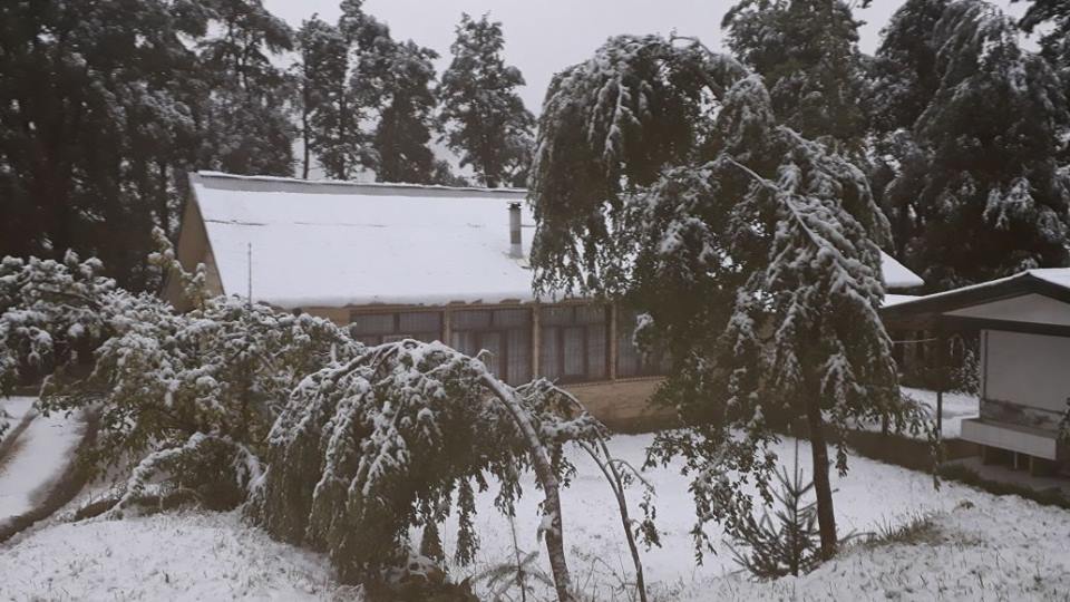 Escuela Particular Caren