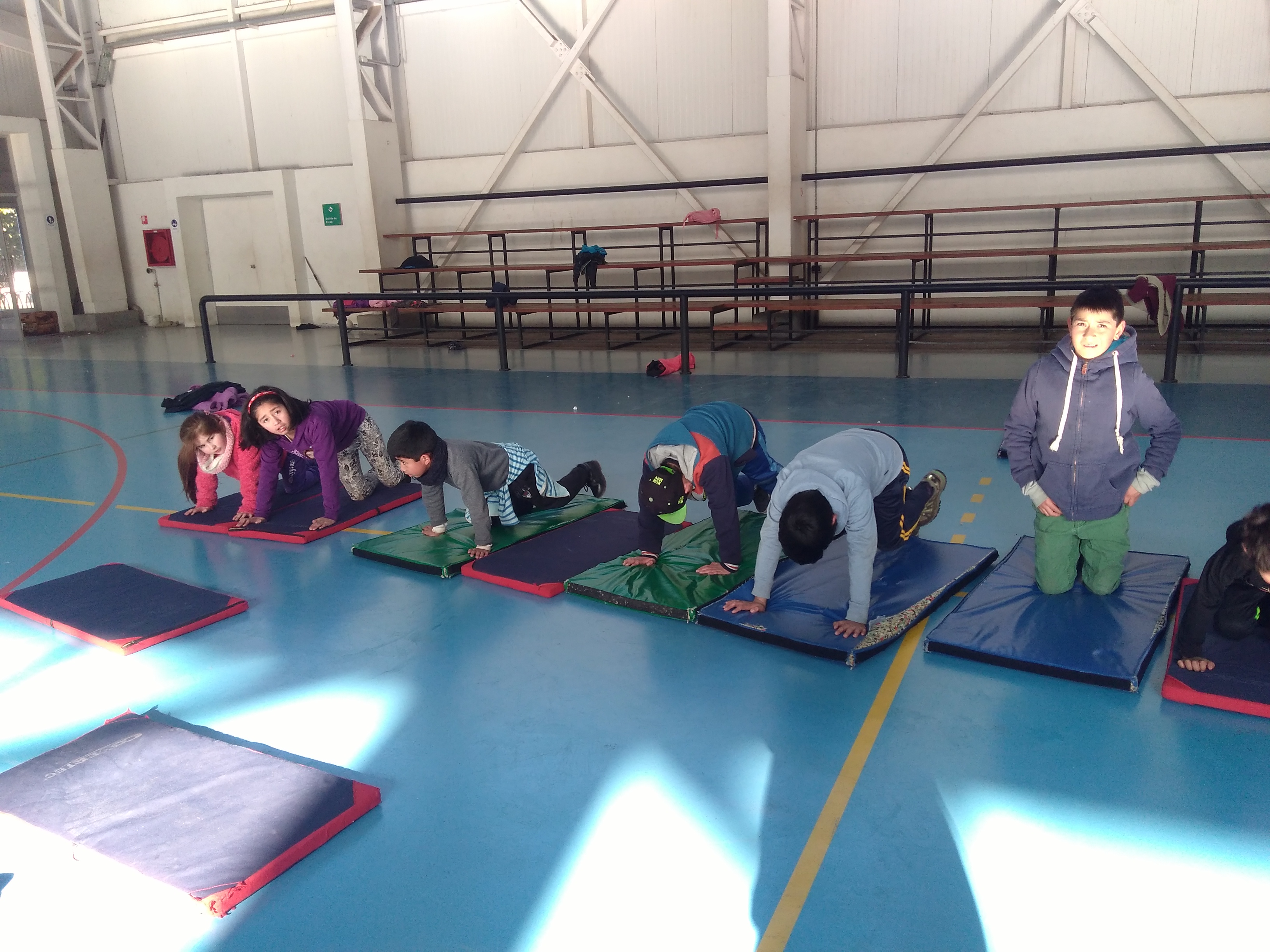 Escuela Particular Los Sauces