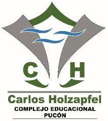 Escuela Carlos Holzafel