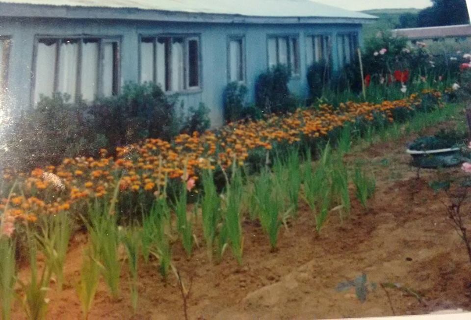 Escuela Particular San Roque
