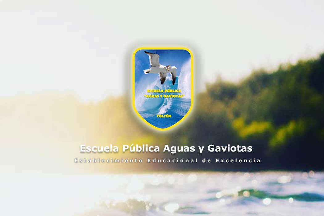 Escuela Aguas Y Gaviotas