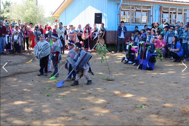 Escuela Particular Huapi