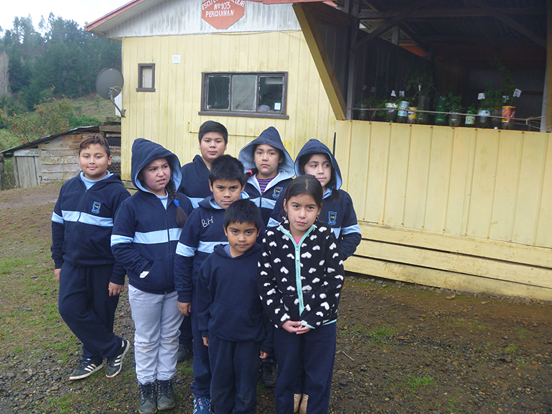 Escuela Particular Perquinan