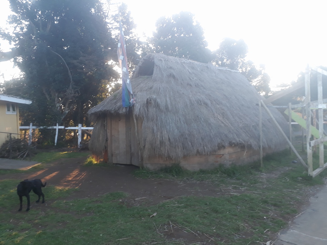Escuela Particular Piedra Alta