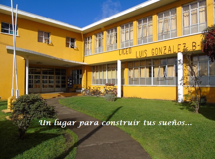 Liceo Bicentenario Luis Gonzalez Vasquez 6585-4
