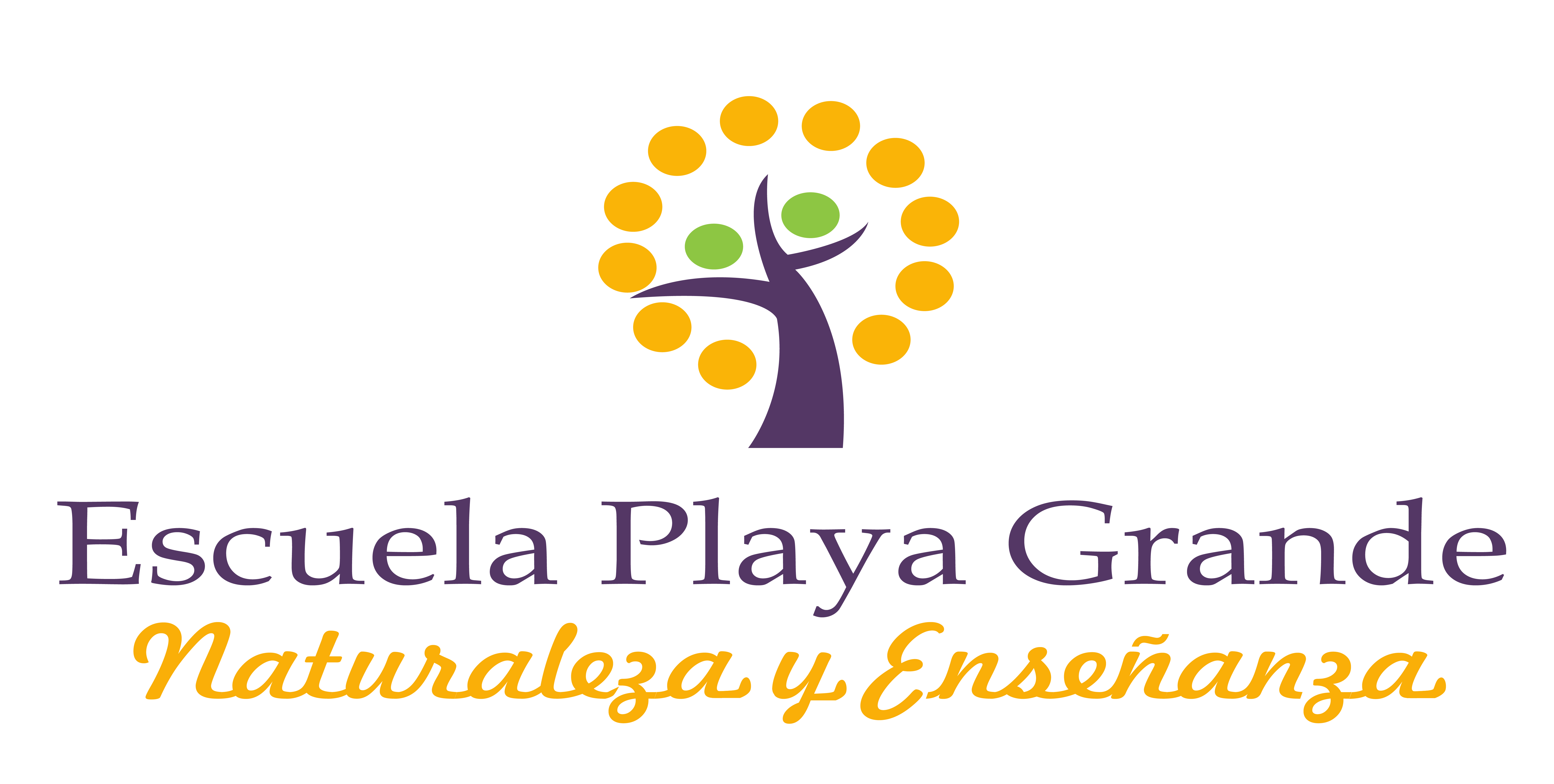 Escuela Chiscaihue