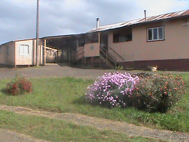 Escuela Particular N.146 Rosario De Las Animas