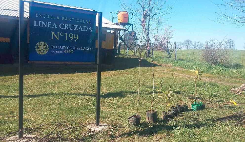 Escuela Particular N.199 Linea Cruzada