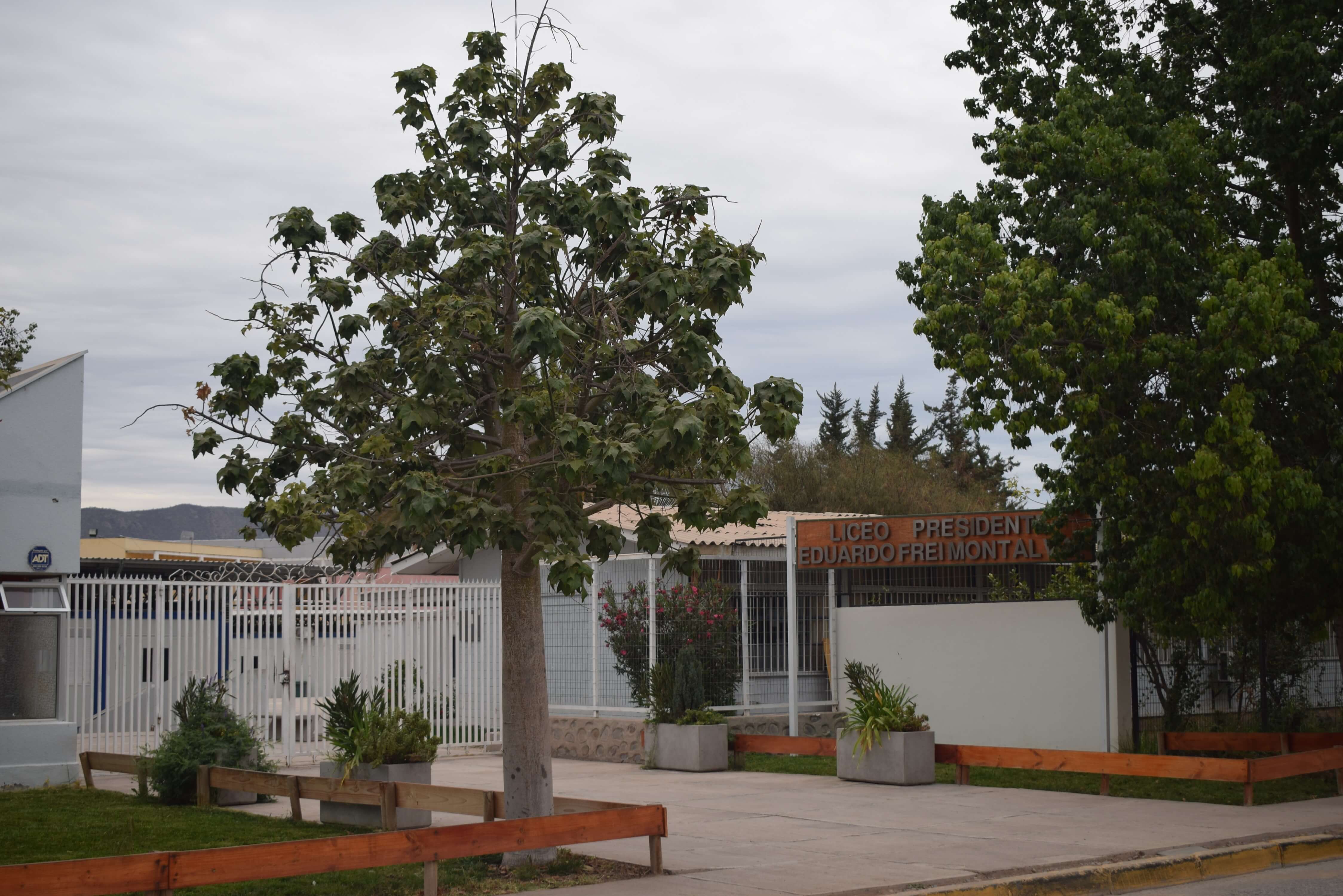 Liceo Bicentenario De Excelencia Liceo Presidente Eduardo Frei Montalva