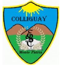 Escuela Basica Colliguay